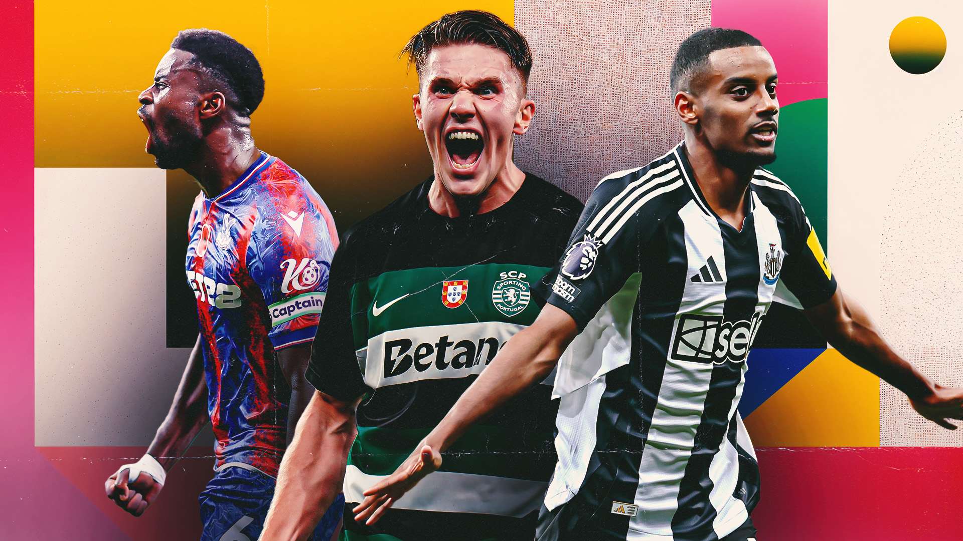 商关注团队 商关注团队